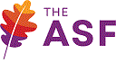 Apache software foundation logo